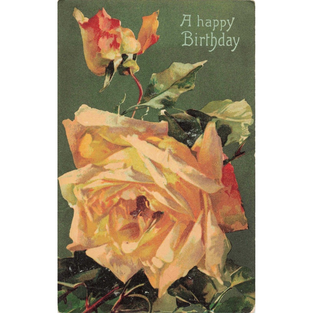 Vintage 1911 Raphael Tuck & Sons Yellow Rose Birthday Postcard Effingham IL VG